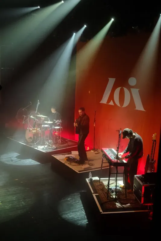 Loi — Stage Backdrop 700 × 500 cm
